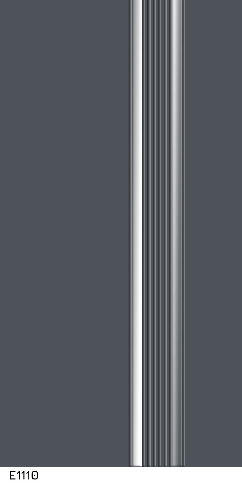E1110